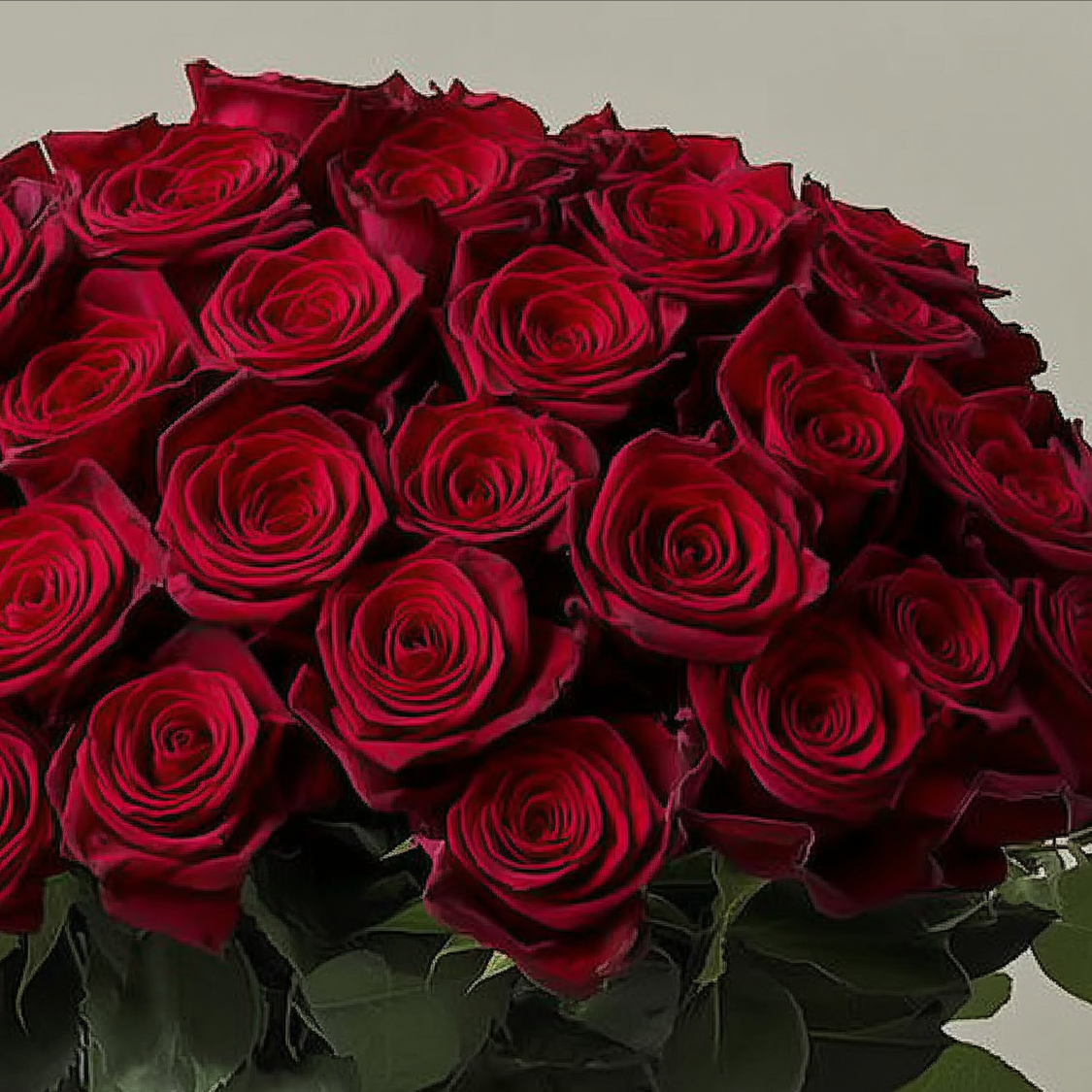 Roehampton